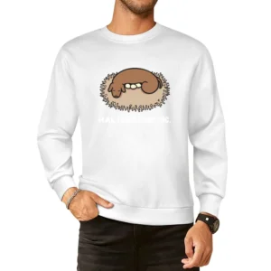 HAL Laboratory Japanese Video Game Developer Logo European Size Pullover Sweater