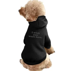 I Wish You Were Here Popular Kate Hudson Fun Celebrity Graphic Tee Shi Pet Apparel Clothes