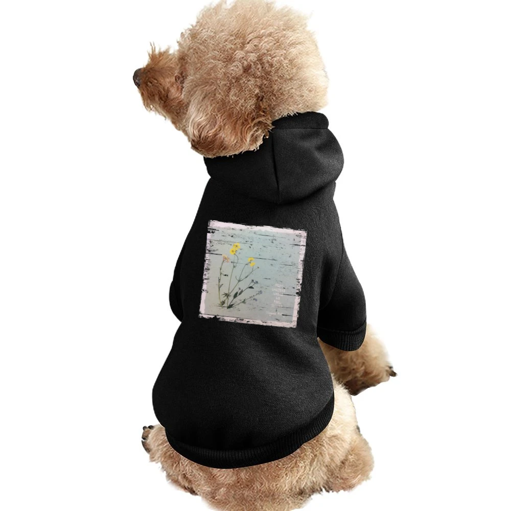 Virginia Astley From Gardens Where We Feel Secure Album Cover Distress Pet Apparel Clothes